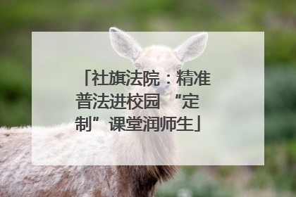 社旗法院：精准普法进校园 “定制”课堂润师生