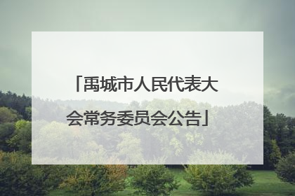 禹城市人民代表大会常务委员会公告