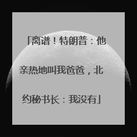 离谱！特朗普：他亲热地叫我爸爸，北约秘书长：我没有