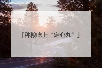 种粮吃上“定心丸”