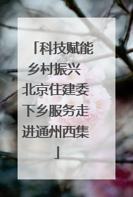 科技赋能乡村振兴 北京住建委下乡服务走进通州西集