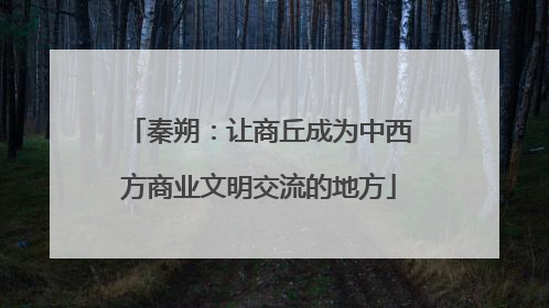 秦朔：让商丘成为中西方商业文明交流的地方