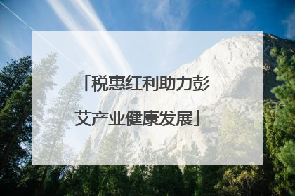 税惠红利助力彭艾产业健康发展