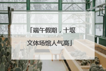 端午假期，十堰文体场馆人气高