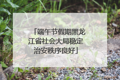 端午节假期黑龙江省社会大局稳定治安秩序良好