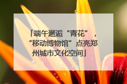 端午邂逅“青花”，“移动博物馆”点亮郑州城市文化空间