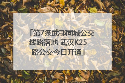 第7条武鄂同城公交线路落地 武汉K25路公交今日开通
