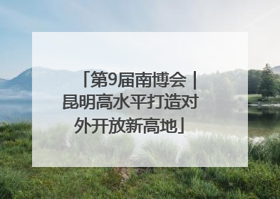 第9届南博会｜昆明高水平打造对外开放新高地