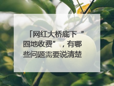 网红大桥底下“圈地收费”，有哪些问题需要说清楚｜新京报快评