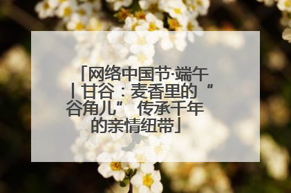 网络中国节·端午丨甘谷：麦香里的“谷角儿” 传承千年的亲情纽带