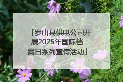 罗山县供电公司开展2025年国际档案日系列宣传活动