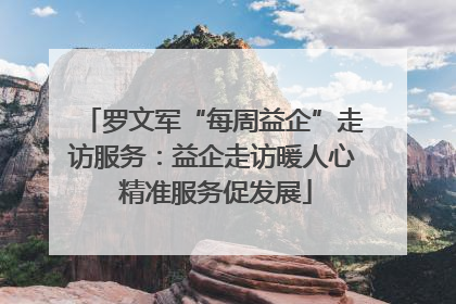 罗文军“每周益企”走访服务：益企走访暖人心 精准服务促发展