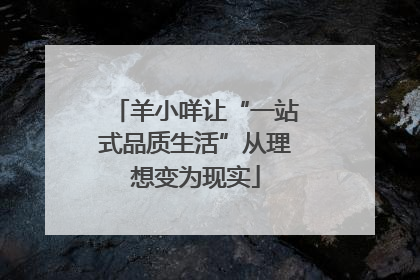 羊小咩让“一站式品质生活”从理想变为现实