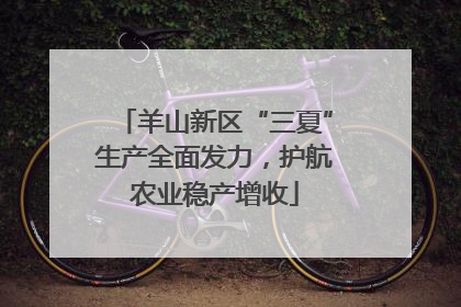 羊山新区“三夏”生产全面发力，护航农业稳产增收