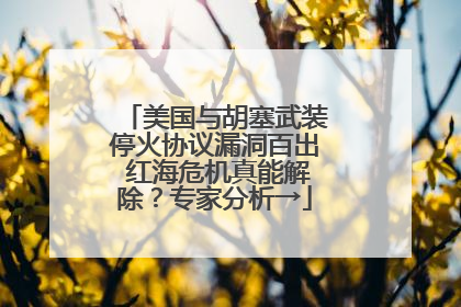 美国与胡塞武装停火协议漏洞百出 红海危机真能解除？专家分析→