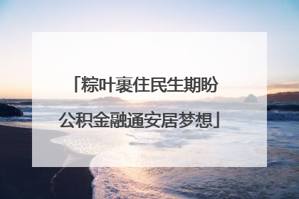 粽叶裹住民生期盼 公积金融通安居梦想