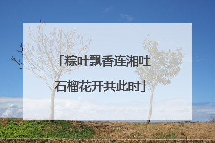 粽叶飘香连湘吐 石榴花开共此时