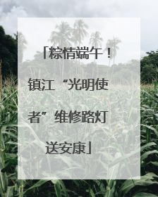 粽情端午！镇江“光明使者”维修路灯送安康