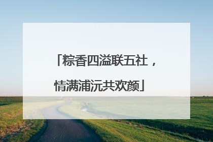 粽香四溢联五社，情满浦沅共欢颜