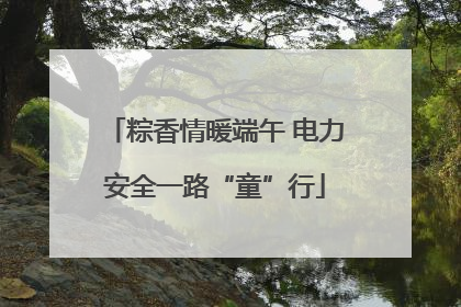 粽香情暖端午 电力安全一路“童”行