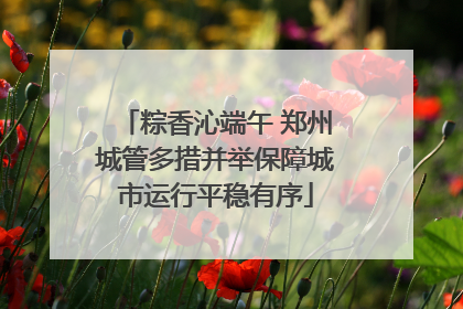 粽香沁端午 郑州城管多措并举保障城市运行平稳有序