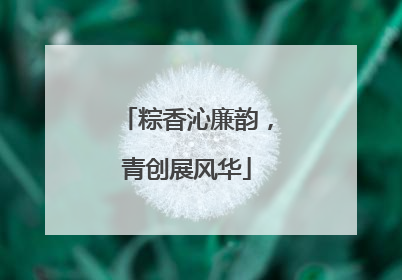 粽香沁廉韵，青创展风华