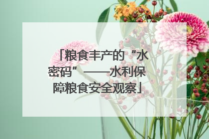 粮食丰产的“水密码”——水利保障粮食安全观察