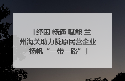 纾困 畅通 赋能 兰州海关助力陇原民营企业扬帆“一带一路”
