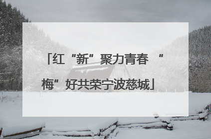 红“新”聚力青春 “梅”好共荣宁波慈城
