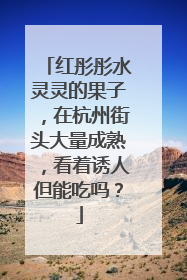 红彤彤水灵灵的果子，在杭州街头大量成熟，看着诱人但能吃吗？