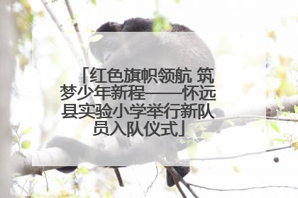 红色旗帜领航 筑梦少年新程——怀远县实验小学举行新队员入队仪式