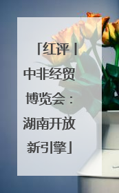 红评丨中非经贸博览会：湖南开放新引擎