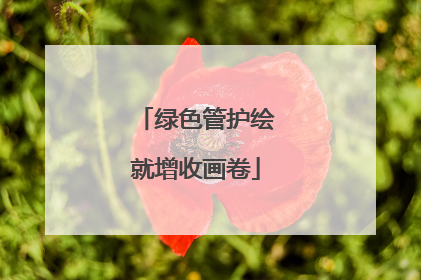 绿色管护绘就增收画卷