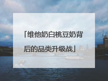 维他奶白桃豆奶背后的品类升级战
