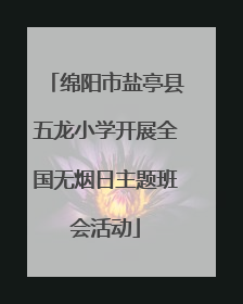 绵阳市盐亭县五龙小学开展全国无烟日主题班会活动