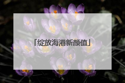 绽放海港新颜值