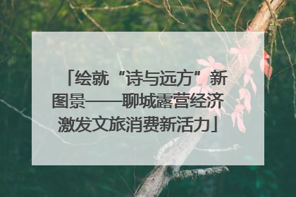 绘就“诗与远方”新图景——聊城露营经济激发文旅消费新活力