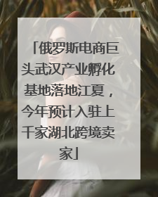 俄罗斯电商巨头武汉产业孵化基地落地江夏，今年预计入驻上千家湖北跨境卖家