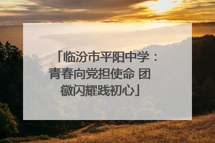 临汾市平阳中学：青春向党担使命 团徽闪耀践初心