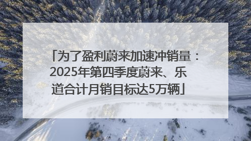 为了盈利蔚来加速冲销量：2025年第四季度蔚来、乐道合计月销目标达5万辆