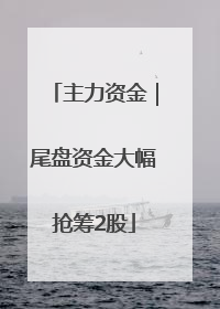 主力资金｜尾盘资金大幅抢筹2股