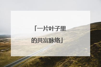 一片叶子里的共富脉络