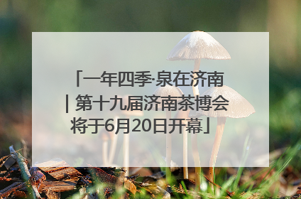 一年四季·泉在济南｜第十九届济南茶博会将于6月20日开幕