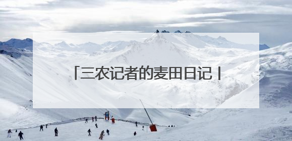 三农记者的麦田日记丨农机手的新“搭档”
