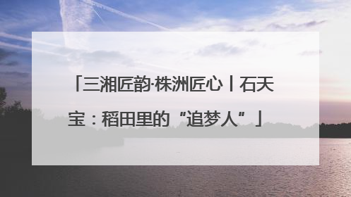 三湘匠韵·株洲匠心丨石天宝：稻田里的“追梦人”