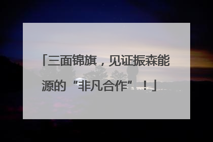三面锦旗，见证振森能源的“非凡合作”！