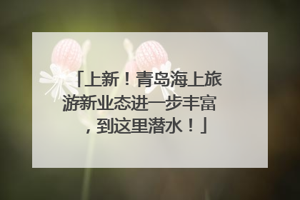 上新！青岛海上旅游新业态进一步丰富，到这里潜水！