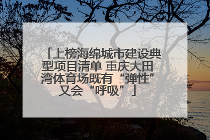 上榜海绵城市建设典型项目清单 重庆大田湾体育场既有“弹性”又会“呼吸”