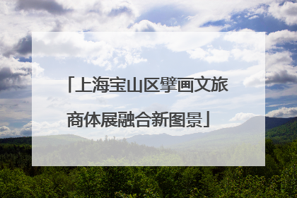上海宝山区擘画文旅商体展融合新图景