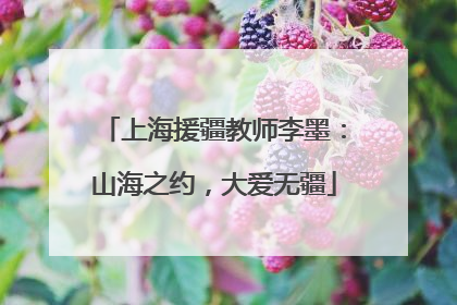 上海援疆教师李墨：山海之约，大爱无疆
